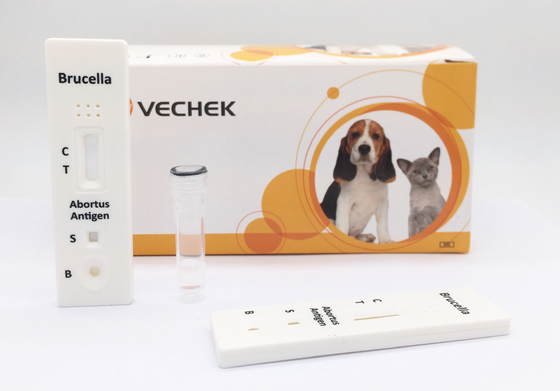 Essai bovin d'antigène de brucella de 10 minutes avec qualitatif et préliminaire