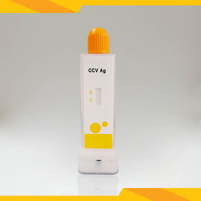 Kit de dépistage du coronavirus chez le chien vétérinaire, kit de test de diagnostic rapide, tasse pratique